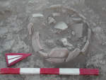 v8a